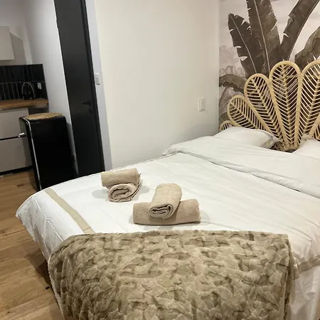 Apartment Prestige Le Chene Dore Climatise Avec Terrasse Au Coeur Du Centre Touristique Cite Des Loisirs 200 M Du Galaxie Parking Gratuit Privatif Amneville