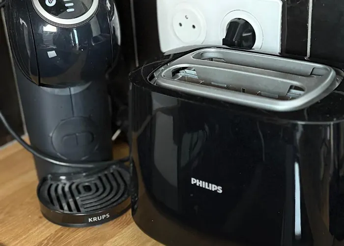 Le Chene Dore Appartement Romantique Avec Jacuzzi Prive Au Coeur Du Centre Touristique *